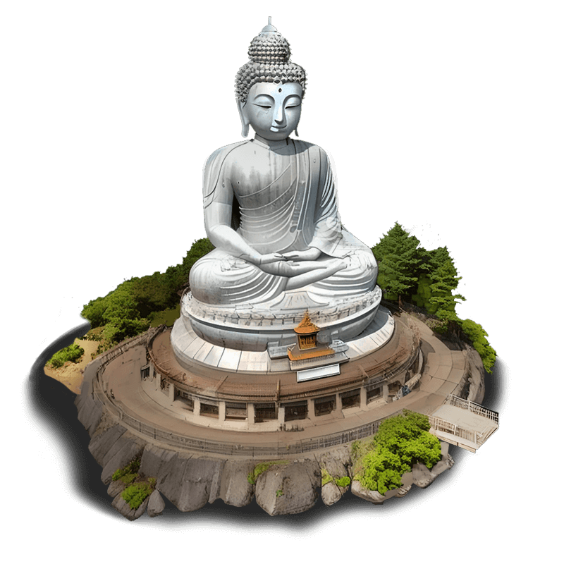 Collection 4 (card 8)